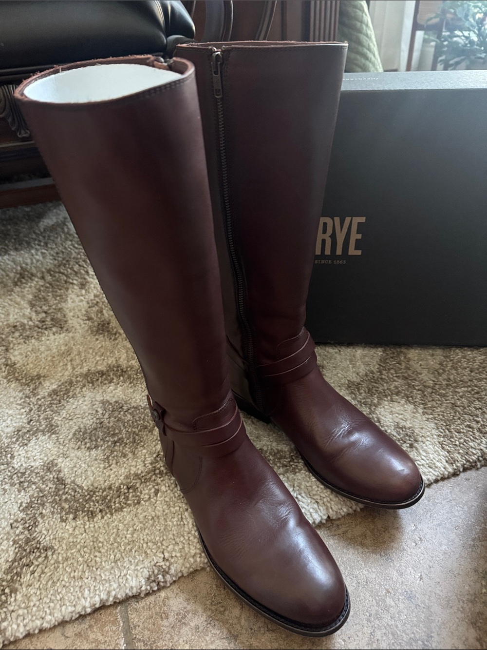 Frye Women's Melissa Belted Tall Riding Boots in Dark Brown Leather